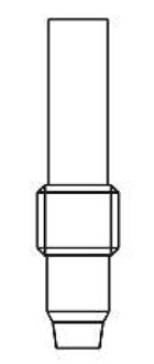 CHOICES OF STEMS B