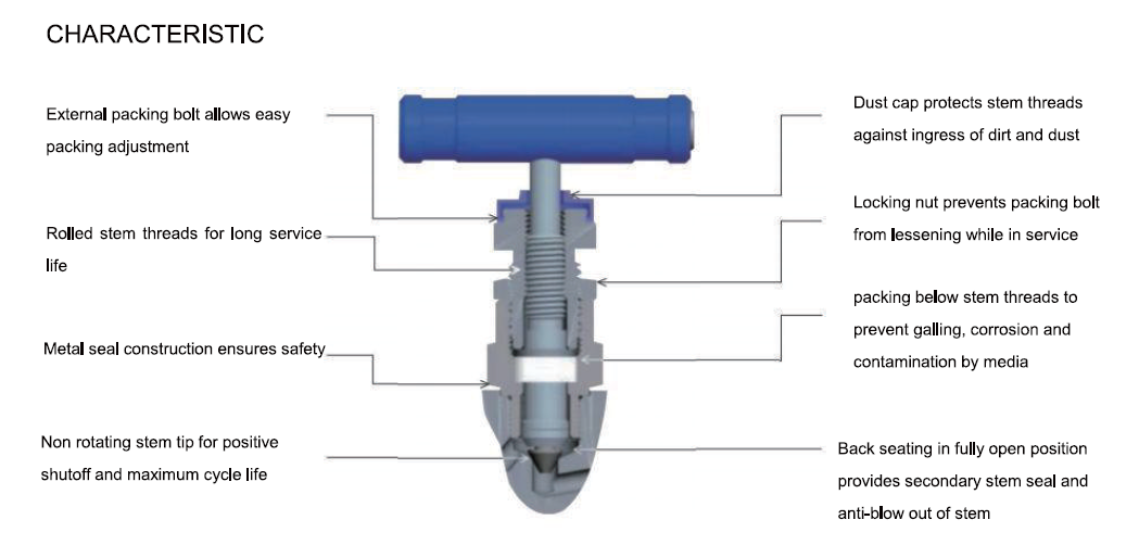 needle valve 6000psi